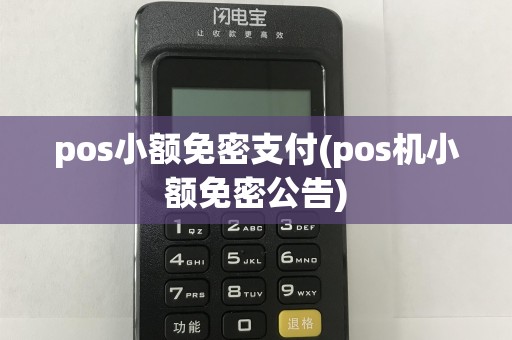pos小额免密支付(pos机小额免密公告)