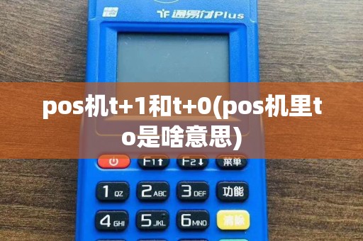 pos机t+1和t+0(pos机里to是啥意思)