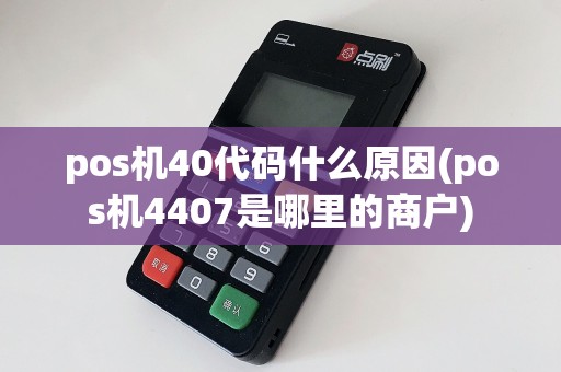 pos机40代码什么原因(pos机4407是哪里的商户)