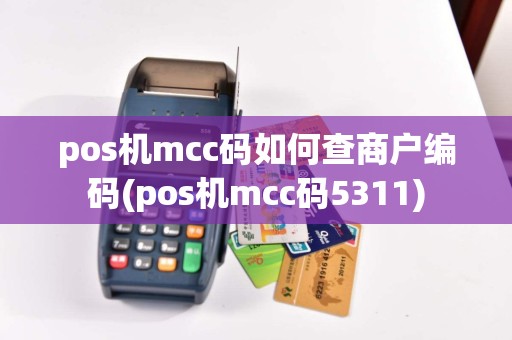 pos机mcc码如何查商户编码(pos机mcc码5311)  第1张