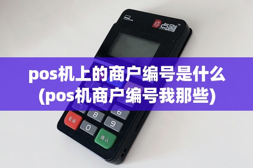pos机上的商户编号是什么(pos机商户编号我那些)