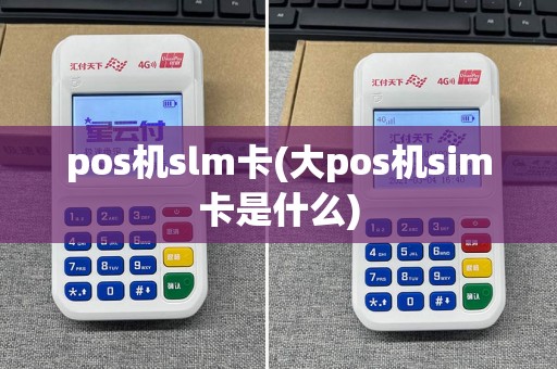 pos机slm卡(大pos机sim卡是什么)
