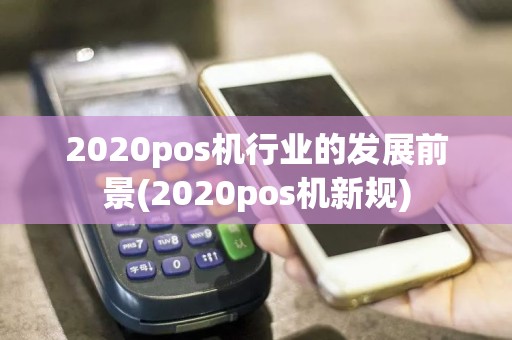 2020pos机行业的发展前景(2020pos机新规)  第1张
