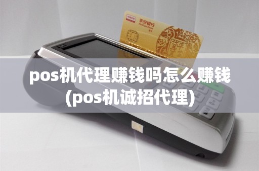 pos机代理赚钱吗怎么赚钱(pos机诚招代理)  第1张
