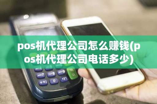pos机代理公司怎么赚钱(pos机代理公司电话多少)