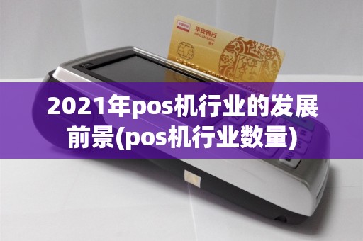 2021年pos机行业的发展前景(pos机行业数量)