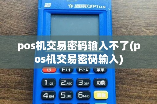 pos机交易密码输入不了(pos机交易密码输入)