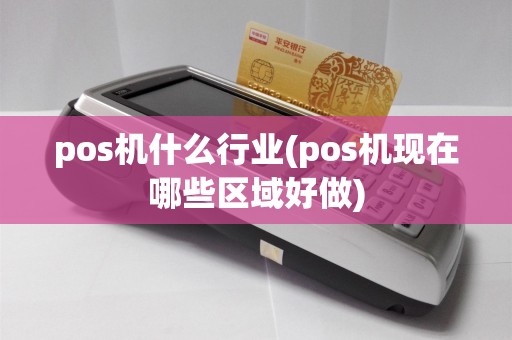 pos机什么行业(pos机现在哪些区域好做)