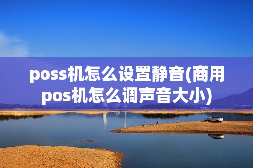 poss机怎么设置静音(商用pos机怎么调声音大小)
