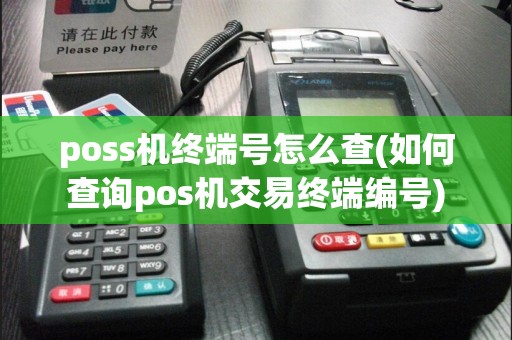 poss机终端号怎么查(如何查询pos机交易终端编号)
