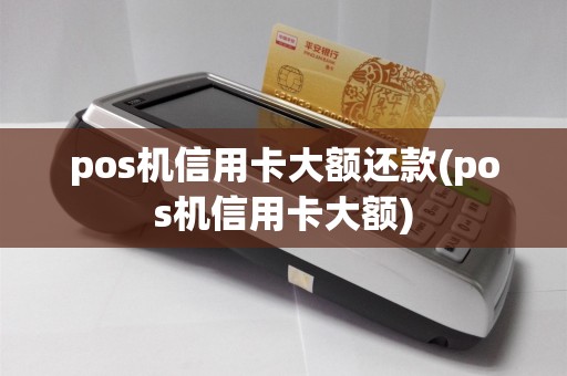 pos机信用卡大额还款(pos机信用卡大额)