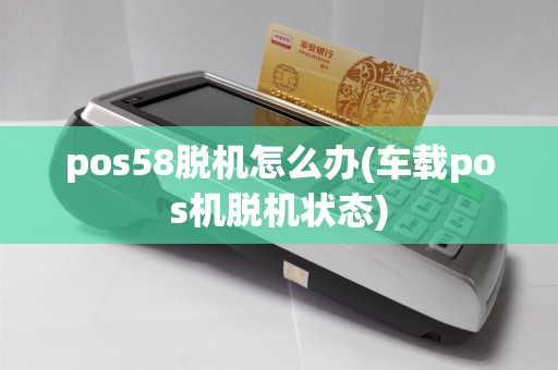 pos58脱机怎么办(车载pos机脱机状态)