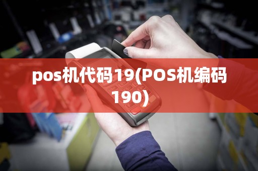 pos机代码19(POS机编码190)