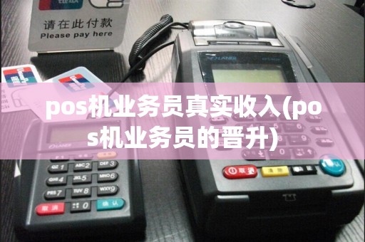 pos机业务员真实收入(pos机业务员的晋升)