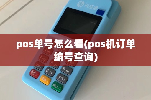 pos单号怎么看(pos机订单编号查询)