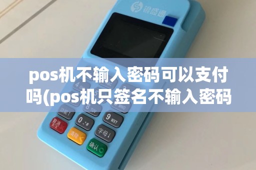 pos机不输入密码可以支付吗(pos机只签名不输入密码)