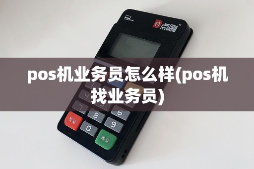pos机业务员怎么样(pos机找业务员)