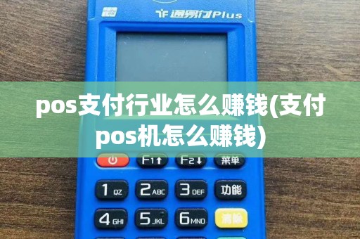 pos支付行业怎么赚钱(支付pos机怎么赚钱)