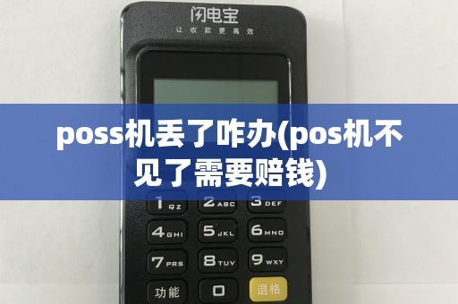 poss机丢了咋办(pos机不见了需要赔钱)