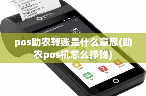 pos助农转账是什么意思(助农pos机怎么挣钱)