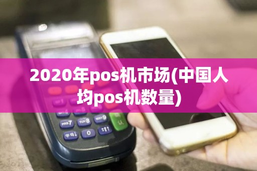 2020年pos机市场(中国人均pos机数量)