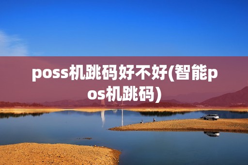 poss机跳码好不好(智能pos机跳码)