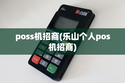 poss机招商(乐山个人pos机招商)