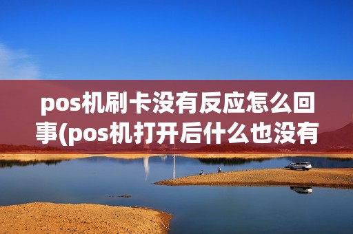 pos机刷卡没有反应怎么回事(pos机打开后什么也没有)