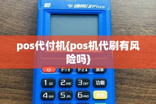 pos代付机{pos机代刷有风险吗}  第1张