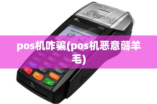 pos机咋骗(pos机恶意薅羊毛)