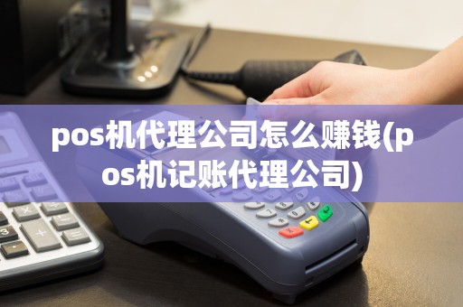 pos机代理公司怎么赚钱(pos机记账代理公司)  第1张