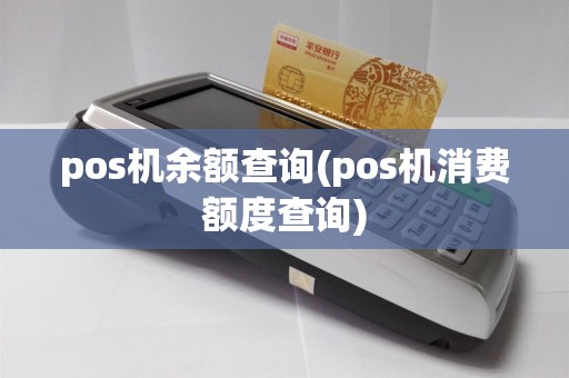pos机余额查询(pos机消费额度查询)