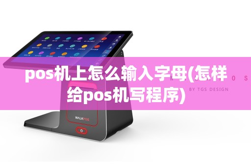 pos机上怎么输入字母(怎样给pos机写程序)