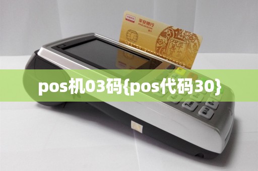 pos机03码{pos代码30}  第1张