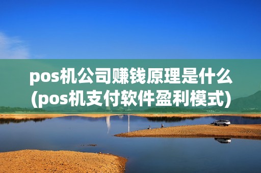 pos机公司赚钱原理是什么(pos机支付软件盈利模式)
