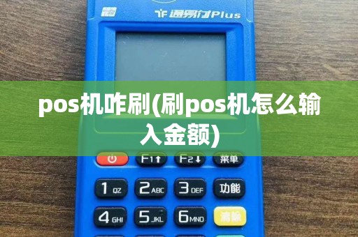 pos机咋刷(刷pos机怎么输入金额)
