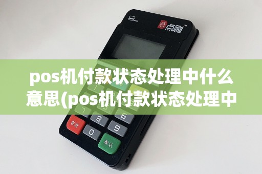 pos机付款状态处理中什么意思(pos机付款状态处理中)