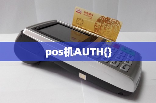 pos机AUTH{}  第1张