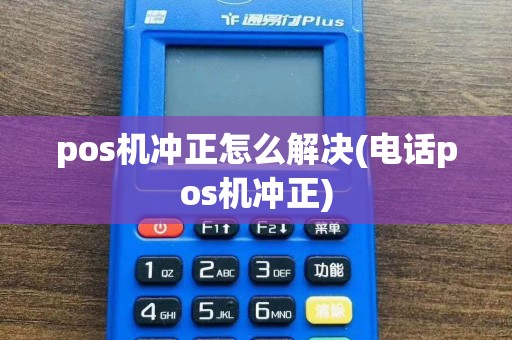 pos机冲正怎么解决(电话pos机冲正)
