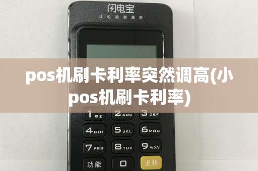 pos机刷卡利率突然调高(小pos机刷卡利率)