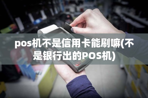 pos机不是信用卡能刷嘛(不是银行出的POS机)  第1张