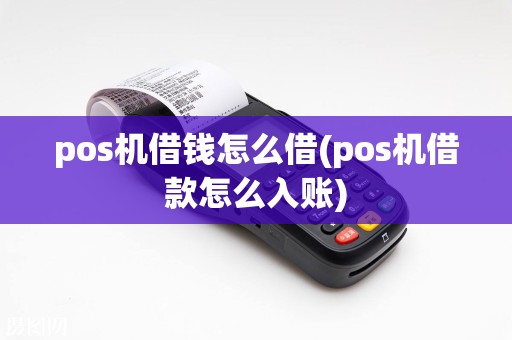 pos机借钱怎么借(pos机借款怎么入账)