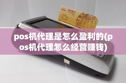 pos机代理是怎么盈利的(pos机代理怎么经营赚钱)