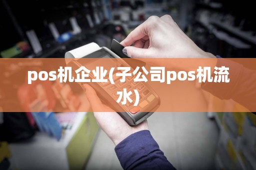 pos机企业(子公司pos机流水)