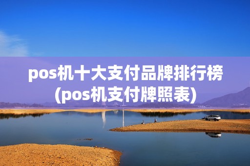 pos机十大支付品牌排行榜(pos机支付牌照表)