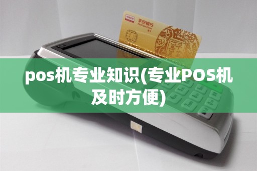 pos机专业知识(专业POS机及时方便)