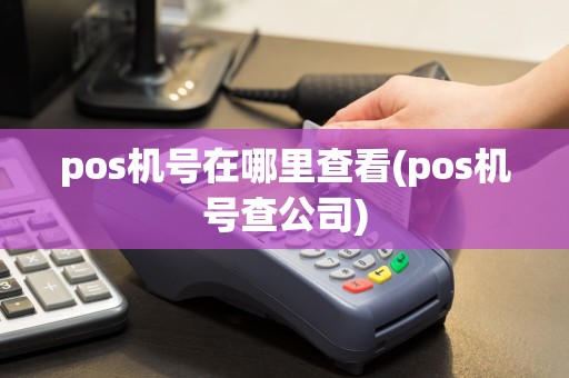 pos机号在哪里查看(pos机号查公司)