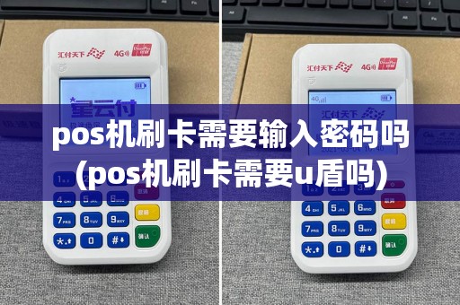 pos机刷卡需要输入密码吗(pos机刷卡需要u盾吗)