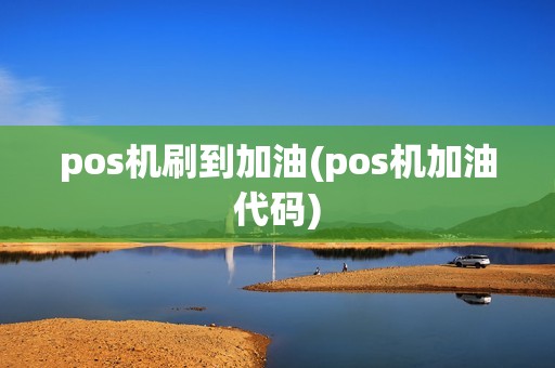 pos机刷到加油(pos机加油代码)