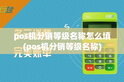 pos机分销等级名称怎么填(pos机分销等级名称)  第1张